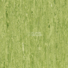 Линолеум Tarkett iq Optima GREEN 0861 фото 1 | FLOORDEALER